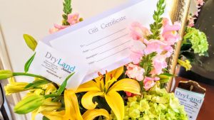 DryLand Hair Salon Gift Certificate